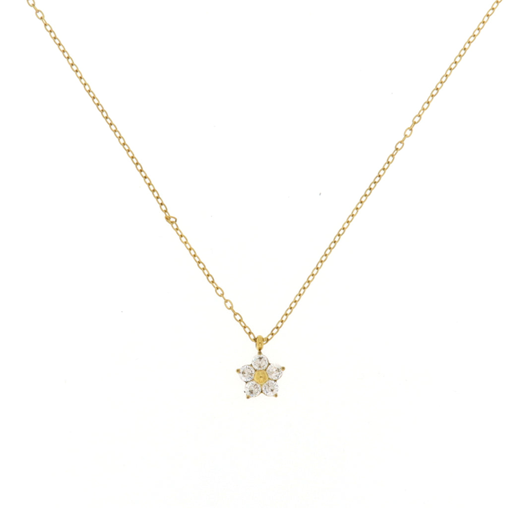 Collana Chiara