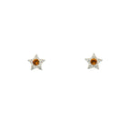Orecchini Star 2
